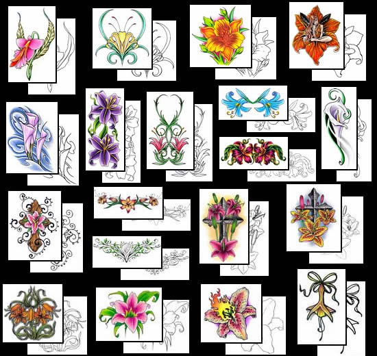 Choose your beautiful Lily Tattoo design from the many choices at 