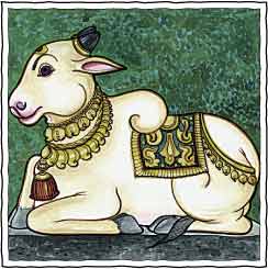 Nandi