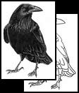 Raven tattoo symbol ideas