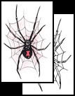 Spider web tattoo design ideas here!