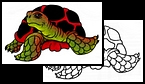 Turtle tattoo design