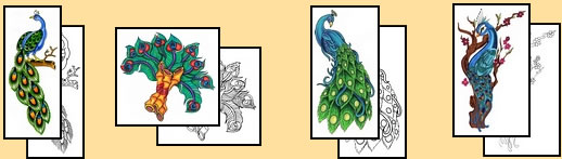 Peacock tattoo meanings