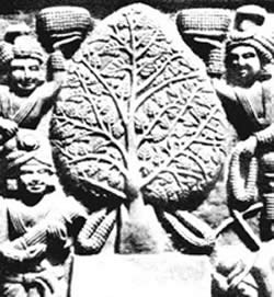 Bodhi tree carving