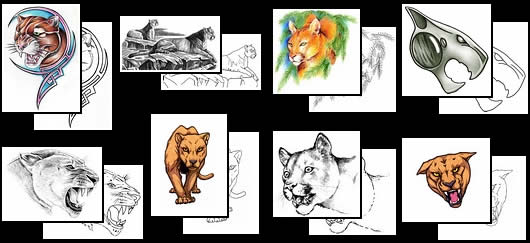 Get your Cougar / puma / mountain lion tattoo design ideas here!