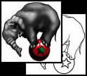 Elephant tattoo designs