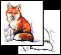 Fox tattoo designs and symbols