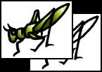 Grasshopper tattoo design ideas