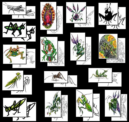 Get your Grasshopper tattoo design ideas here!