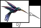 Hummingbird tattoo designs