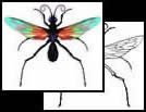 Insect tattoo symbols and designs