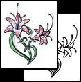 lily tattoo design meanings
