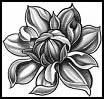 Lotus flower meanings
