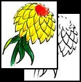 Chrysanthemum tattoo design meanings