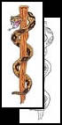 Staff of Asclepius tattoos and designs