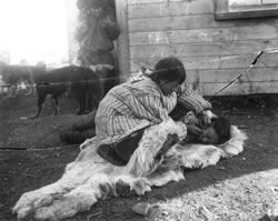 Siberian Yupik woman “stitching the skin” at Indian Point, Chukotka, 1901. Photograph by Waldemar Bogoras.