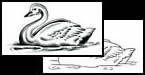 Swan tattoo designs