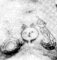 Note the tattoo of the “hundred-pace viper' in the center of the chest flanking the tattoo of a human head.