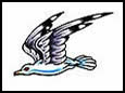 Seabird tattoo designs and symbols