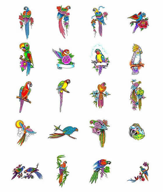 Parrot tattoo design ideas from Tattoo-Art.com