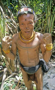 The intricate tattoos that appear on the wrists of the Mentawai people of Siberut Island, Indonesia are called ngalou or beads