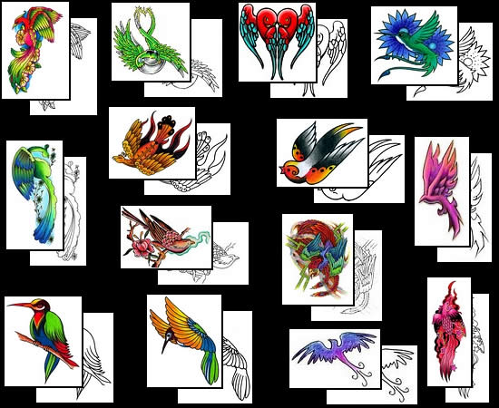 Get the best bird of paradise tattoo design ideas here!
