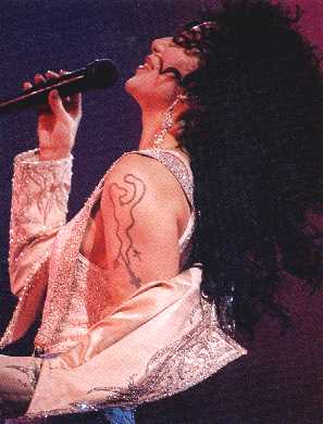 Cher's tattoos during a live performance