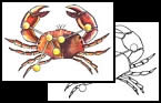 Crab tattoos