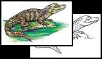 Alligator tattoos