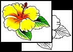 Hibiscus flower tattoos