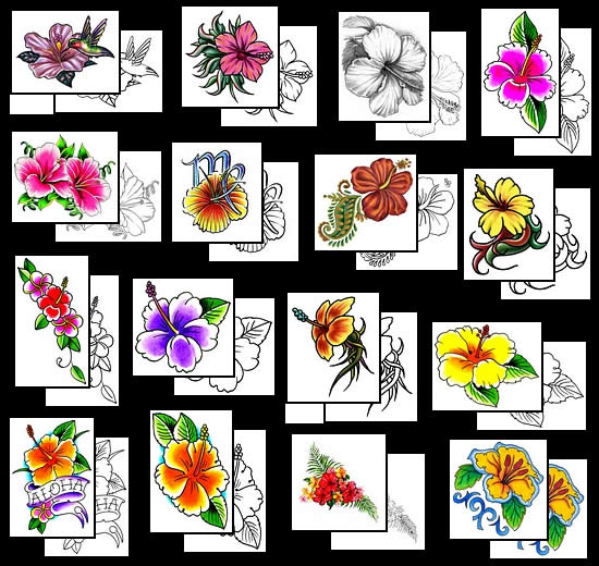 Get your hibiscus flower tattoo design ideas here!
