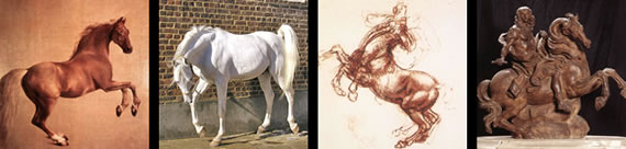 images of horses