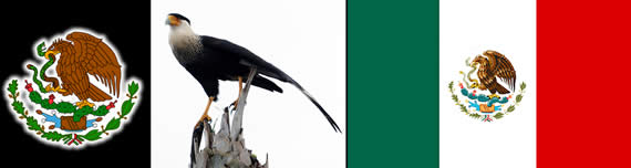 Mexican flag, eagle and seal