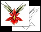 Orchid tattoo designs