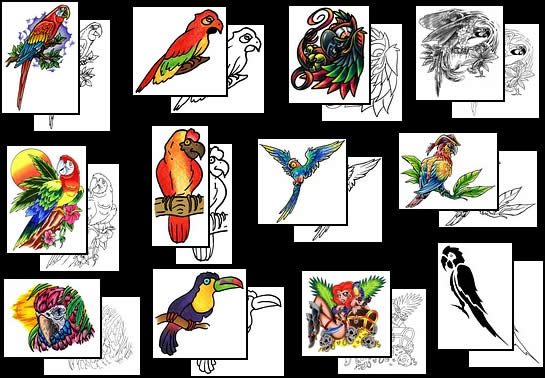 Parrots as tattoo designs and symbols