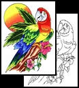 Parrot tattoo designs