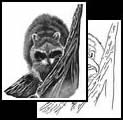 Raccoon tattoo symbol ideas
