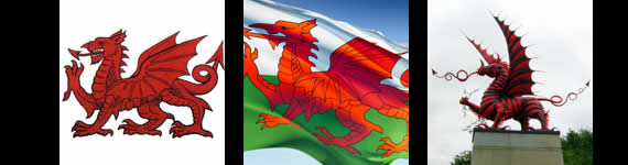 Red Welsh Dragon images