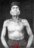fig.1 Click for a closer look at this Dayak elder's tattoos