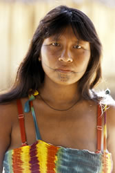 A younger Kayabi woman carries on the indelible tradition. Photograph © Lars Krutak 2007-2010