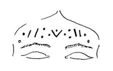 Baiga forehead markings