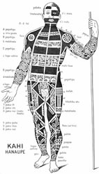 Schematic view of a tattooed Marquesan warrior. 