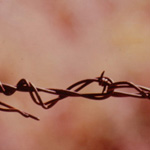 Barbwire