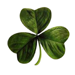 Shamrock